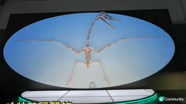 香港科學館的「香港賽馬會呈獻系列：八大‧尋龍記」展覽原定11...