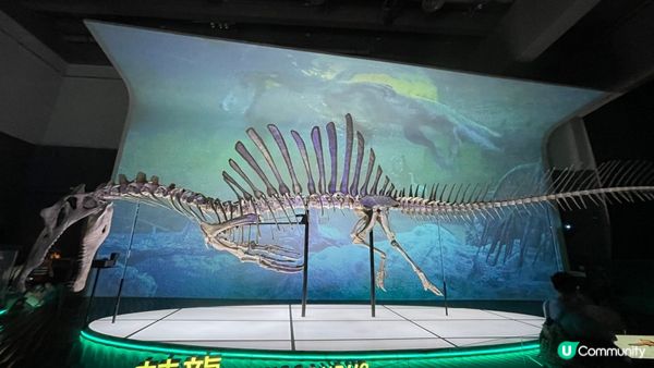 香港科學館的「香港賽馬會呈獻系列：八大‧尋龍記」展覽原定11...