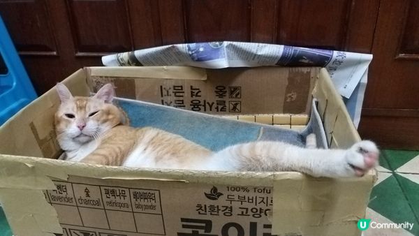 靚仔你想點呀😽😻