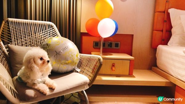 同埋家中寶寶 Kimchi 一家三口去 Dogcation，...