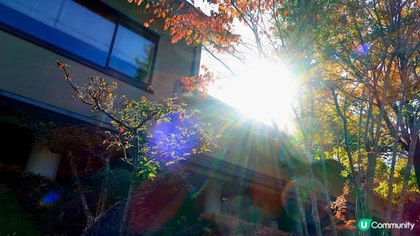 【九州大分縣住宿】真.隱世! 深山中的米芝蓮旅館「奧日田溫泉...
