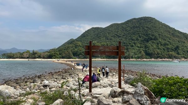 欣賞連島沙洲菠蘿包石