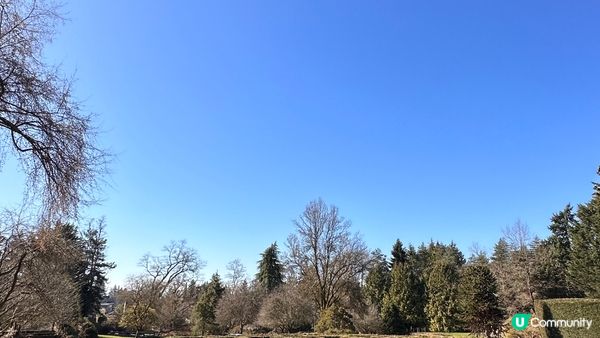 溫哥華市（英語：City of Vancouver）是加拿大...