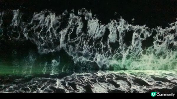 風靡韓國的沉浸式美術展 ｜ARTE Museum