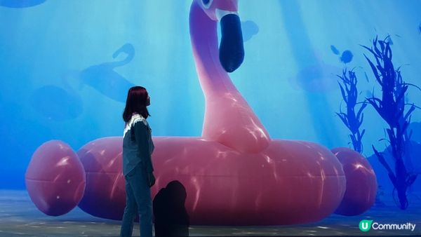 風靡韓國的沉浸式美術展 ｜ARTE Museum