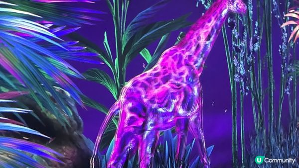 風靡韓國的沉浸式美術展 ｜ARTE Museum