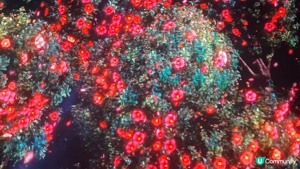 風靡韓國的沉浸式美術展 ｜ARTE Museum