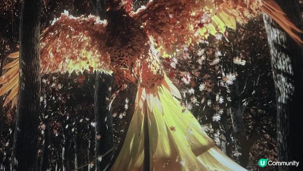 風靡韓國的沉浸式美術展 ｜ARTE Museum