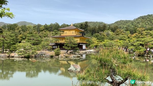 京都金閣寺 散發黃金光輝 連飲杯綠茶都有金箔