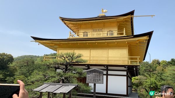 京都金閣寺 散發黃金光輝 連飲杯綠茶都有金箔