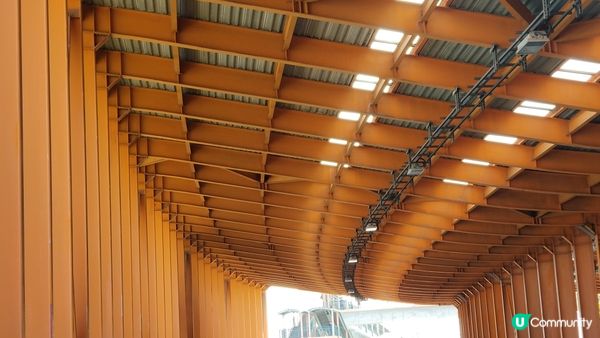 黃昏下的青馬大橋 + 港版鳥居