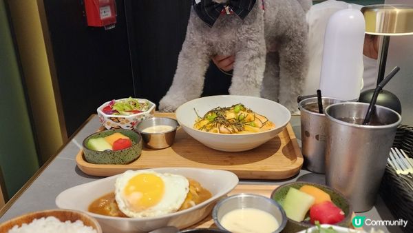 做乖乖陪食專員的🐨