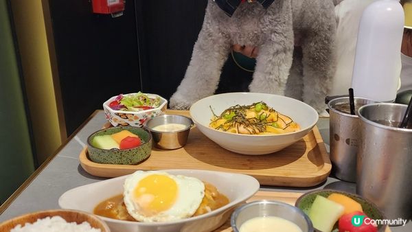 做乖乖陪食專員的🐨
