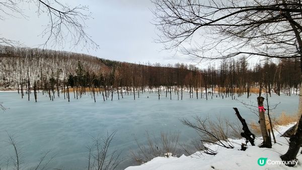 ❄️ 北上塵世美 ❄️