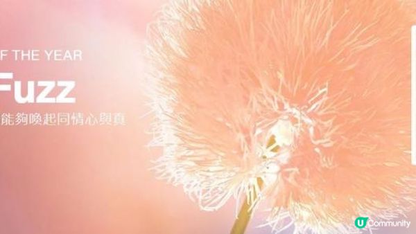 𝗖𝗼𝗹𝗼𝘂𝗿 𝗼𝗳 𝘁𝗵𝗲 𝗬𝗲𝗮𝗿 𝟮𝟬𝟮𝟰出爐！𝗣𝗲𝗮𝗰𝗵 𝗙𝘂𝘇𝘇 🍑