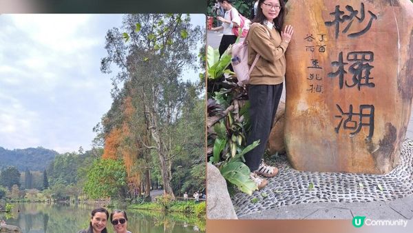 2023落羽杉《深圳仙湖植物園》➕️ 八合里牛肉火鍋 (南湖店)