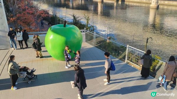 大阪「童書森林.中之島」,圖書館都可以咁靚咁好玩?