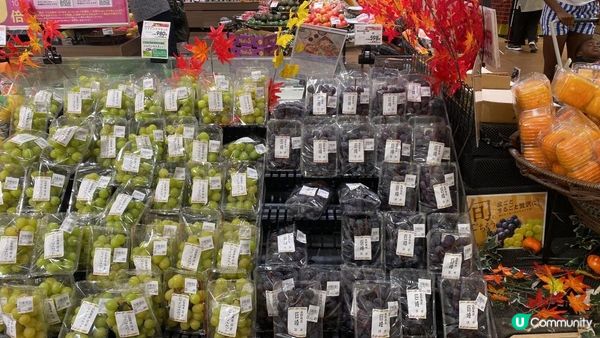 【打卡點】 秋天 。南九州 ·鹿兒島縣 ⛩️霧島神宮 🪴 仙巖園  🐉 龍宮神社