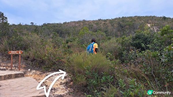 《西貢西灣亭至東壩行山篇》螭蟝石頂、西灣山、浪茄灣、標尖角觀景台