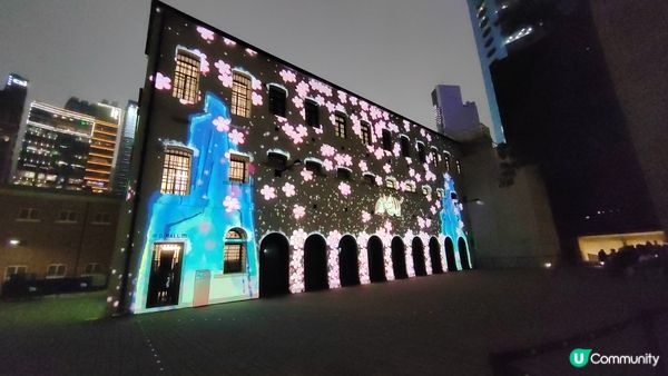 「綻放大館」燈光表演