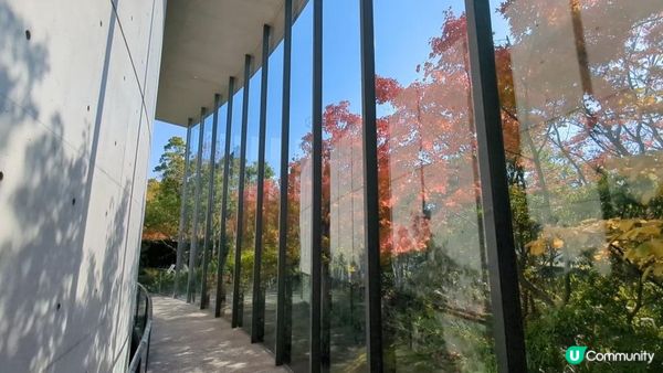 安藤忠雄設計嘅司馬遼太郎紀念館 - 書迷建築迷一次過滿足兩個願望!仲有個好靚嘅庭園~