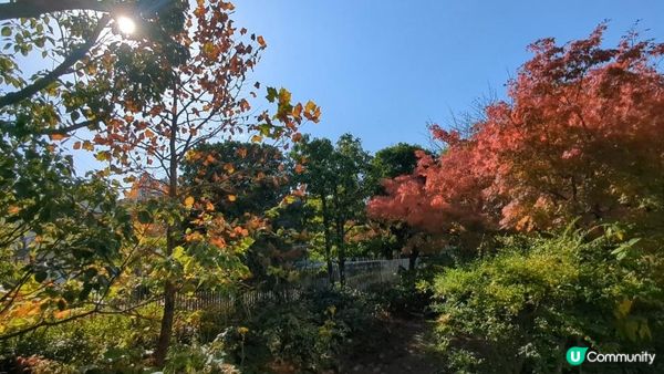 安藤忠雄設計嘅司馬遼太郎紀念館 - 書迷建築迷一次過滿足兩個願望!仲有個好靚嘅庭園~