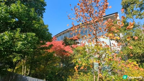 安藤忠雄設計嘅司馬遼太郎紀念館 - 書迷建築迷一次過滿足兩個願望!仲有個好靚嘅庭園~