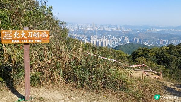 2024大年初三，粉嶺-北大刀屻-大刀屻-嘉道里農場