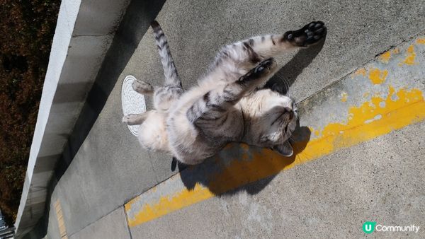 二見浦駅站長