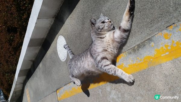 二見浦駅站長
