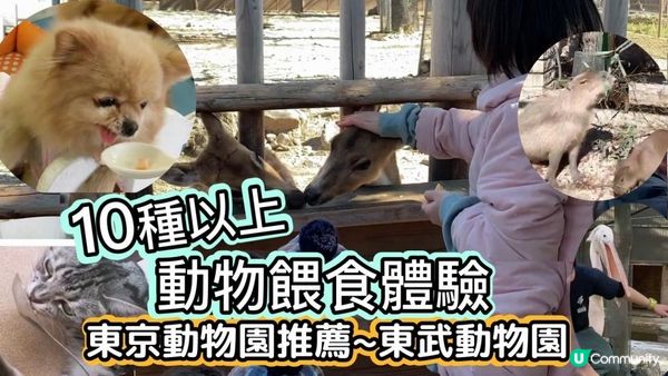 【日本東京】東京動物園推薦｜10種以上動物餵食體驗｜水豚君｜騎小馬｜白老虎餵食｜草泥馬餵食｜可愛爆表｜東武動物園｜東京近郊親子遊推薦｜tokyozoo｜tobuzoo