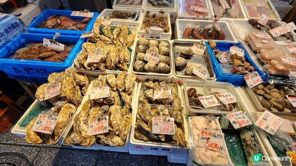 【北海道自由行2024】5個景點和4間食店🐚？札幌觀光客精選推薦！拜訪三大市場之一：超．熱情新鮮海味的二条市場🐟円山公園北海道神宮＋神宮茶屋雪糕＋白色戀人公園 + 札幌拉麵👏｜日本4K VLOG