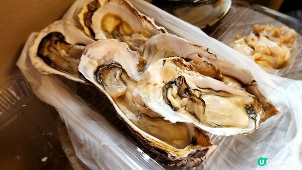 【北海道自由行2024】5個景點和4間食店🐚？札幌觀光客精選推薦！拜訪三大市場之一：超．熱情新鮮海味的二条市場🐟円山公園北海道神宮＋神宮茶屋雪糕＋白色戀人公園 + 札幌拉麵👏｜日本4K VLOG