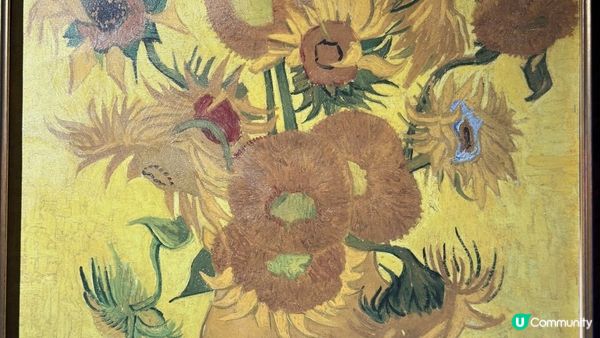 珠海 | 平替版的team lab