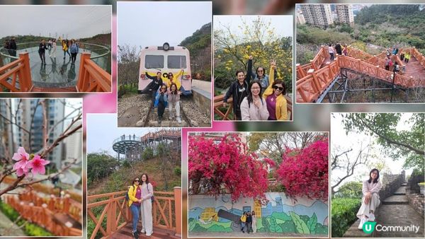 《深圳賞櫻🌸之旅》華英路景觀公園(櫻花列車🚈玻璃觀景台)，小南山公園(赤灣煙墩)