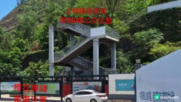 《深圳賞櫻🌸之旅》華英路景觀公園(櫻花列車🚈玻璃觀景台)，小南山公園(赤灣煙墩)