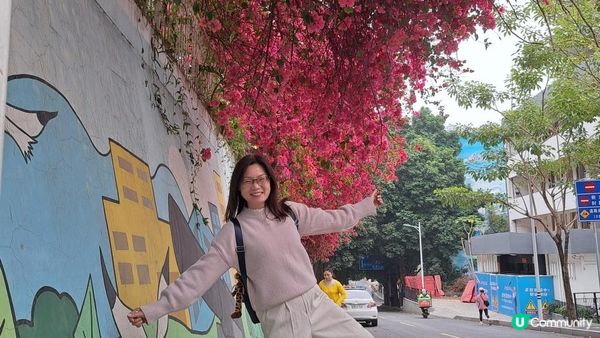 《深圳賞櫻🌸之旅》華英路景觀公園(櫻花列車🚈玻璃觀景台)，小南山公園(赤灣煙墩)