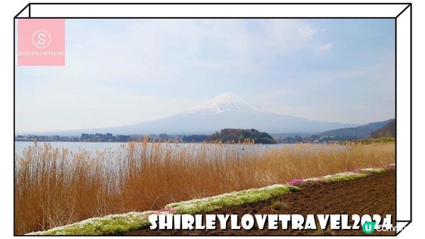 【一個旅囡遊日本】富士山+櫻花美景！3大 日本山梨縣 賞櫻景點 推薦