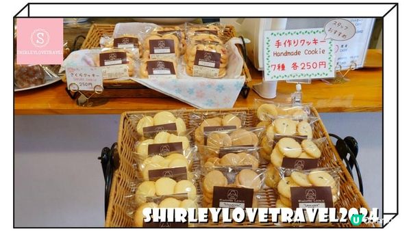 【一個旅囡遊日本】富士山+櫻花美景！3大 日本山梨縣 賞櫻景點 推薦