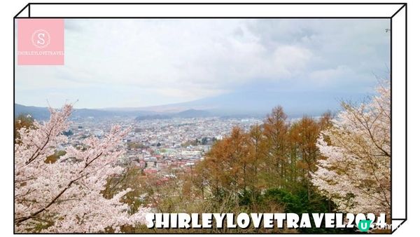 【一個旅囡遊日本】富士山+櫻花美景！3大 日本山梨縣 賞櫻景點 推薦