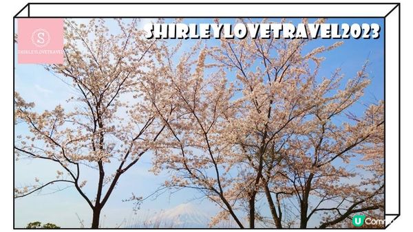 【一個旅囡遊日本】富士山+櫻花美景！3大 日本山梨縣 賞櫻景點 推薦