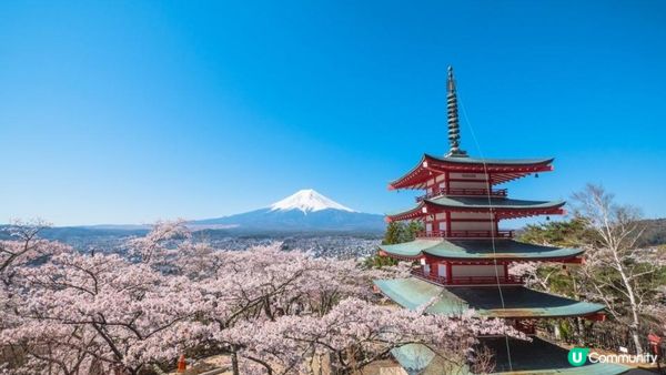 【一個旅囡遊日本】富士山+櫻花美景！3大 日本山梨縣 賞櫻景點 推薦