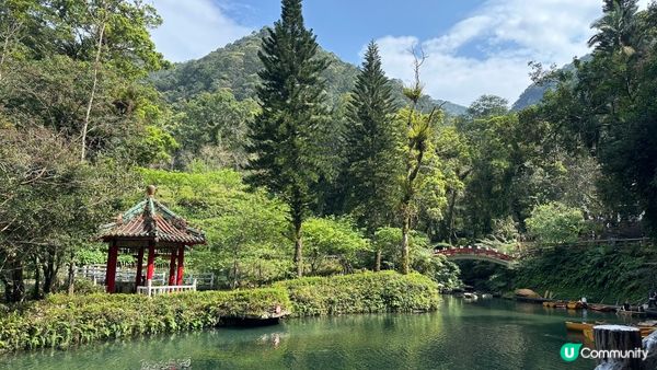 綠油仙境
