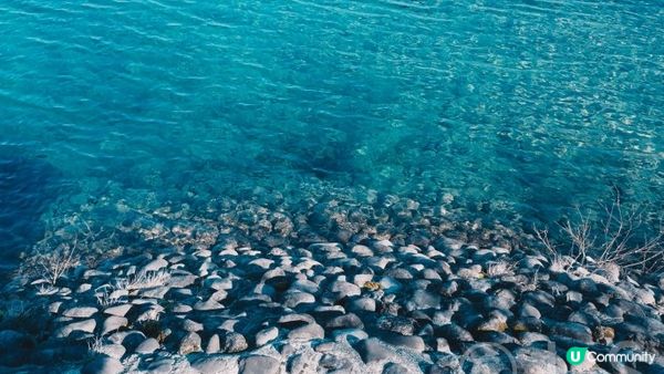 秋田︳永不結冰的田沢湖、湖邊鳥居御座石神社 秋田獨有龍角散啤酒