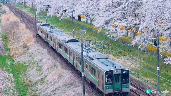 【日本東北】推薦﹗宮城、岩手、秋田、山形 賞櫻名所 （附賞櫻TIPS)