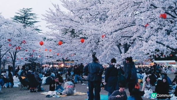 【日本東北】推薦﹗宮城、岩手、秋田、山形 賞櫻名所 （附賞櫻TIPS)