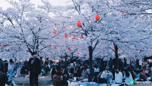 【日本東北】推薦﹗宮城、岩手、秋田、山形 賞櫻名所 （附賞櫻TIPS)