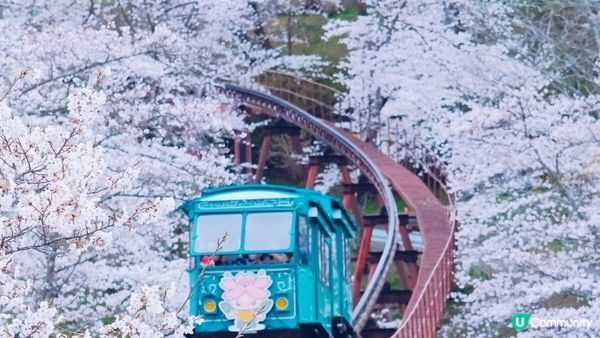 【日本東北】推薦﹗宮城、岩手、秋田、山形 賞櫻名所 （附賞櫻TIPS)