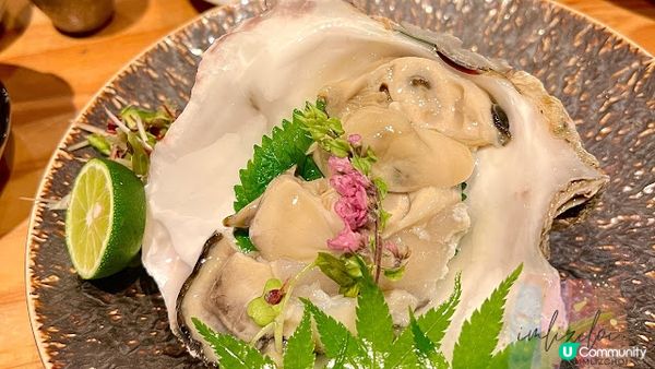 【旅遊】日本北九洲．福岡美食！必收藏餐廳!!米芝蓮推薦的居酒屋「NUMBER SHOT」