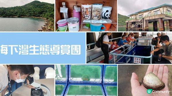 海下灣生態導賞團